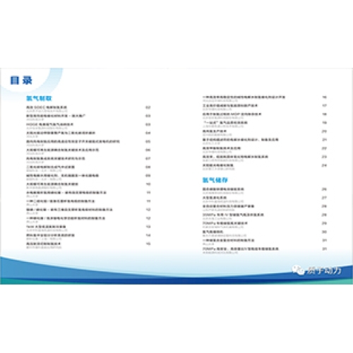 2023年6月6日，《百項國際氫能領先技術成果冊》榜單發布，質子動力SOEC產品位列“氫氣制取板塊”第一項
